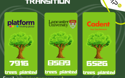 Leading the Green Transition