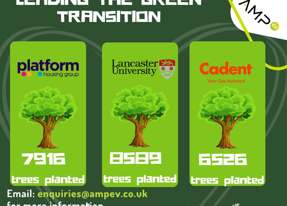 Leading the Green Transition